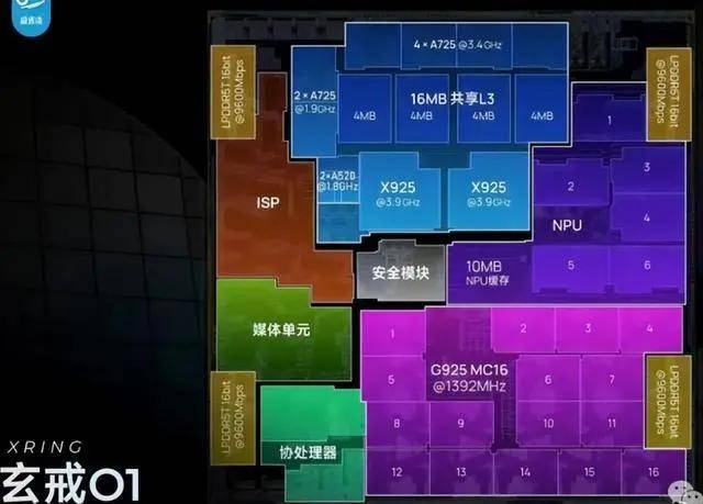 南平金太阳老年综合服务中心：没有围墙的养老院